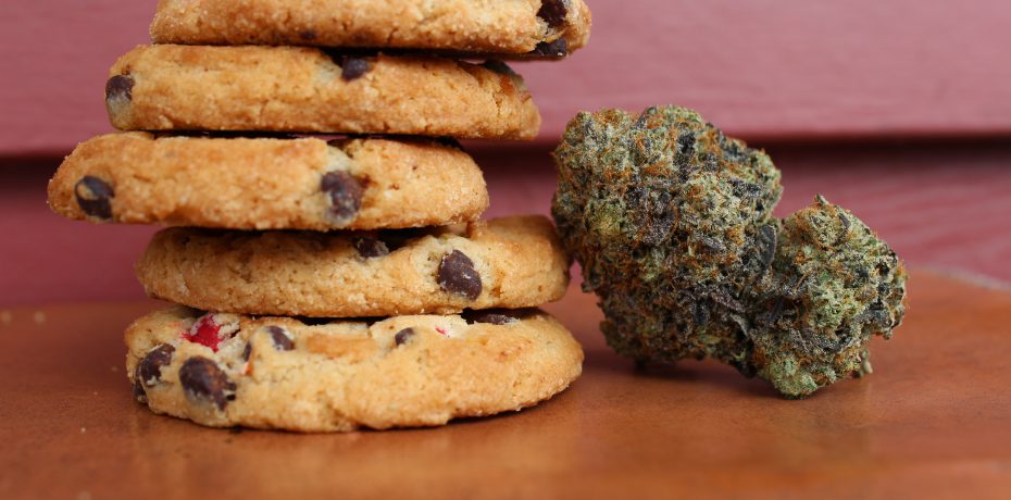 cookies and a dried marijuana plant representing edible cannabis