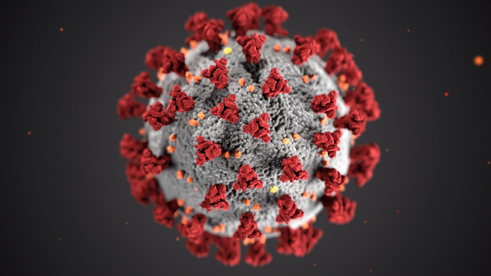 The coronavirus molecule