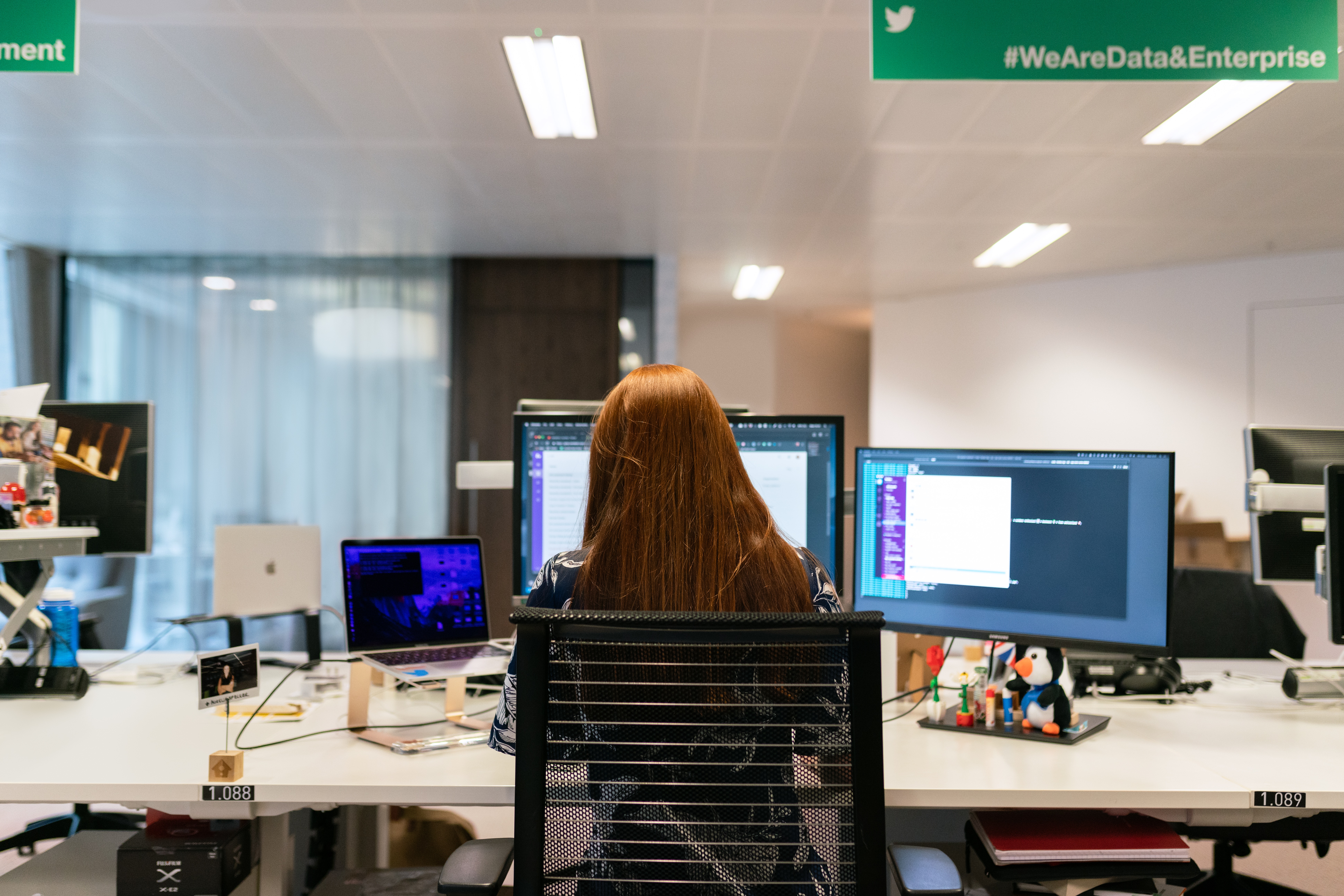 women in computer working
